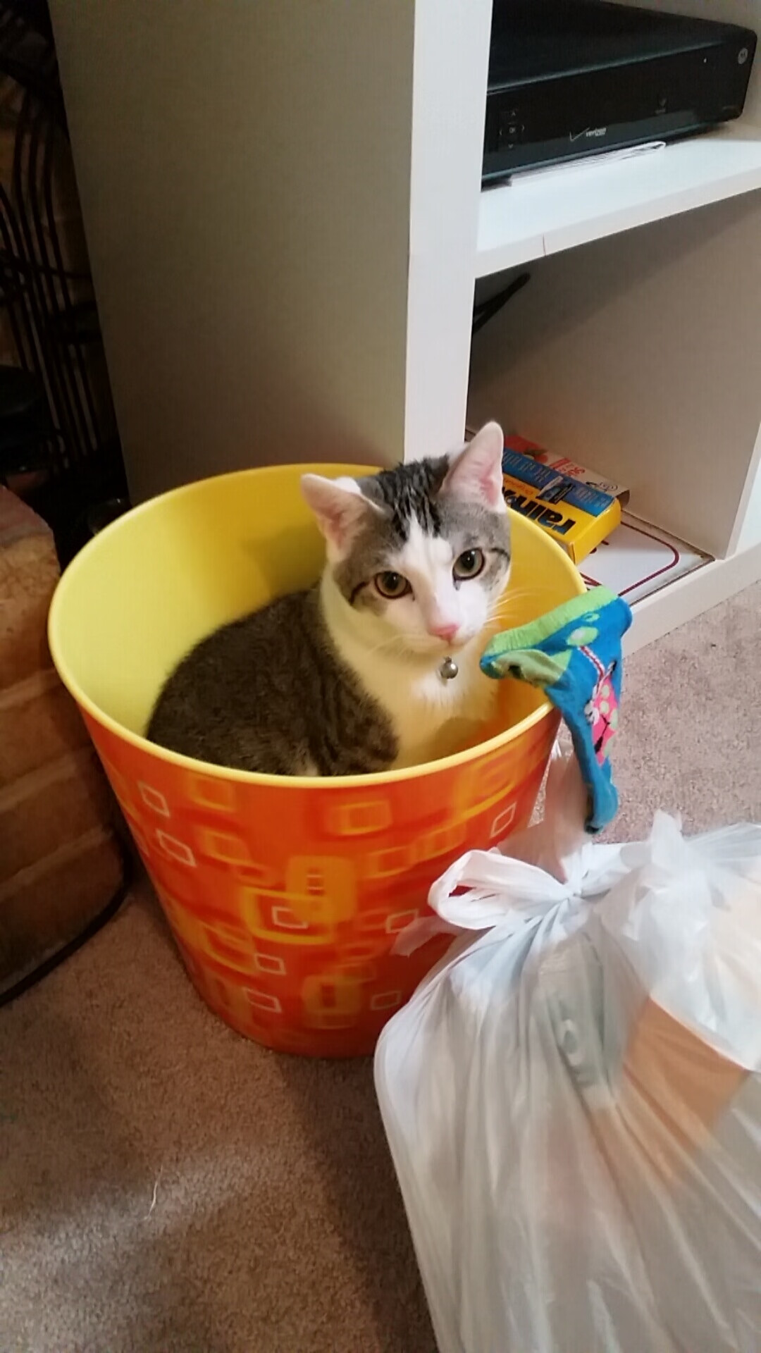 当意甲焦点战遇上NBA赛场，雷霆三叉戟如何用足球思维撕裂奇才防线？